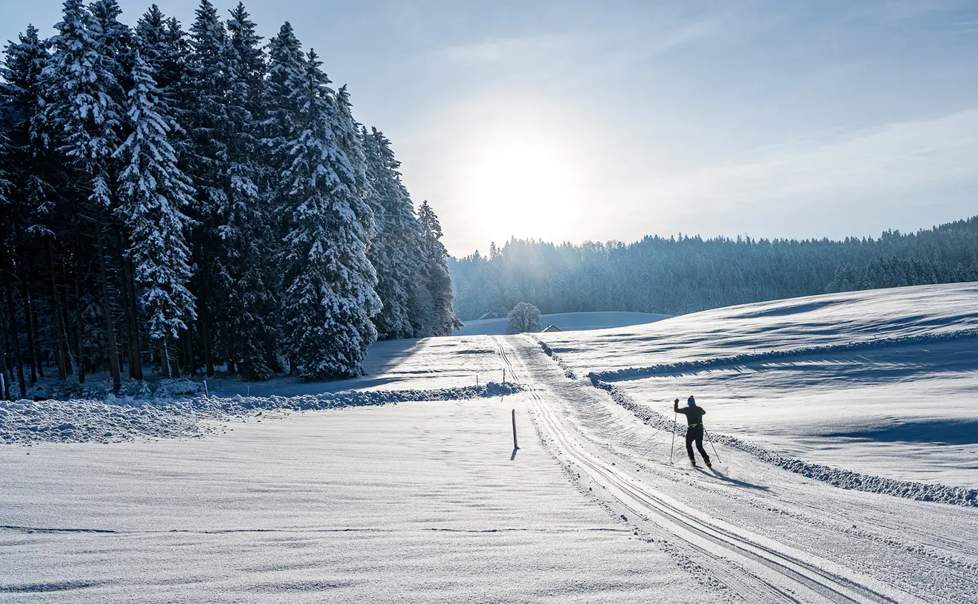 Langläufer auf der präparierten Skatingloipe bei Sonnenaufgang am verschneiten Waldrand